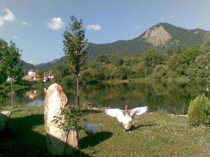 Ribkata Family Hotel Smolyan Extérieur photo